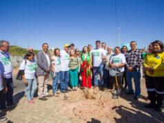 Dr. Pessoa participa de plantio de mudas de árvores na avenida Ferroviária