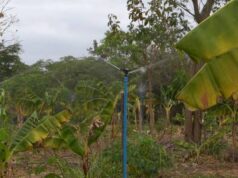 SAF entrega kits de irrigação e equipamentos agrícolas para 27 municípios na segunda (15)