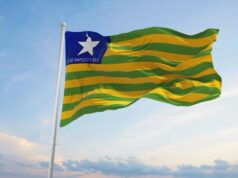 Bandeira do Piauí: conheça o símbolo que representa a luta, a união e a história da “terra querida”